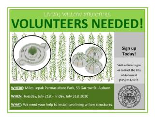 Living Willow Structure Call for Volunteers Flyer